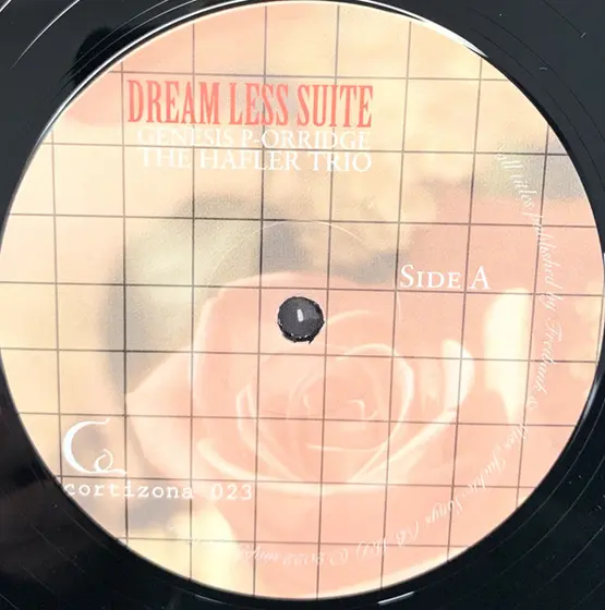 Genesis P-Orridge & The Hafler Trio - Dream Less Suite-5