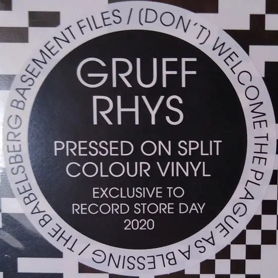 Gruff Rhys - (Don't) Welcome The Plague As A Blessing / The Babelsberg Basement Files-5