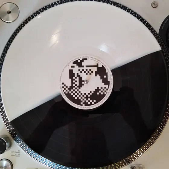 Gruff Rhys - (Don't) Welcome The Plague As A Blessing / The Babelsberg Basement Files-4