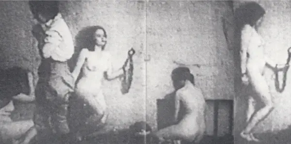 Dominator (2) - Forbidden Pleasures-3