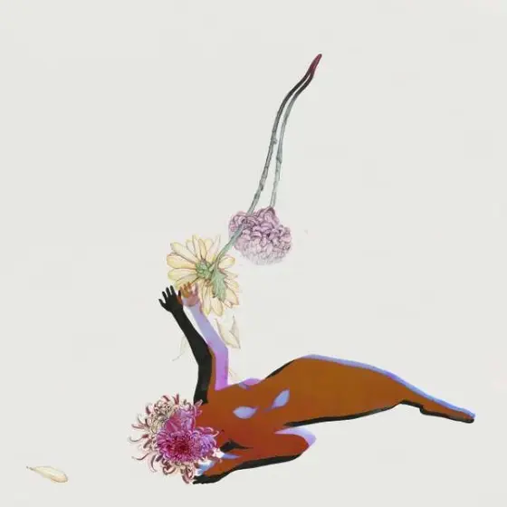 FUTURE ISLANDS - Far Fields CD-0