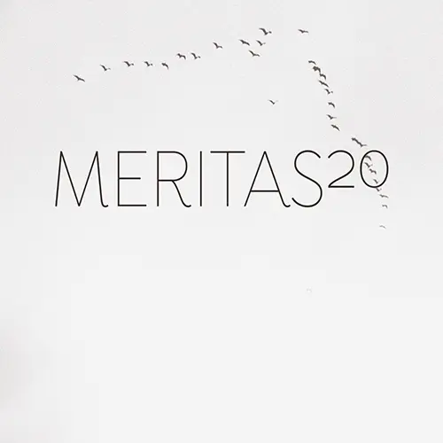 MERITAS - 20 CD-0