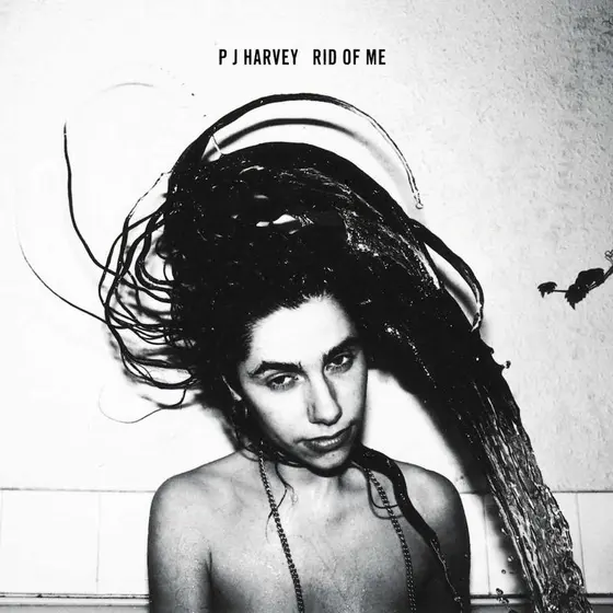 PJ HARVEY - Rid Of Me LP-0