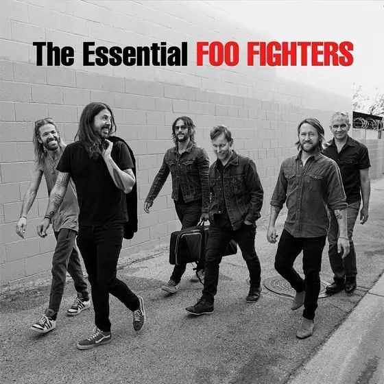 FOO FIGHTERS - Essential LP2-0