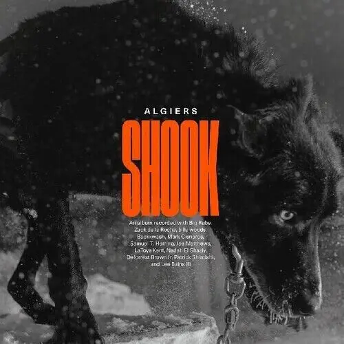 ALGIERS - Shook CD-0