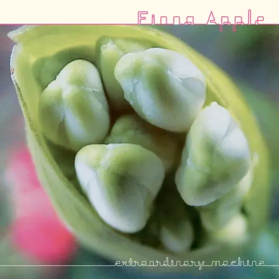 FIONA APPLE - Extraordinary Machine LP2-0