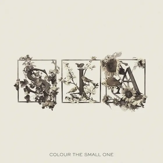 SIA - Colour The Small One (RSD 2024) LP2-0