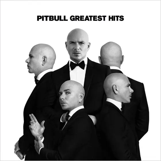 PITBULL - Greatest Hits (Silver & Black Vinyl) LP-0