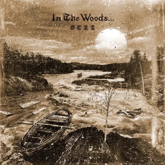 IN THE WOODS... - Otra CD-0