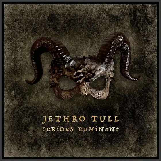 JETHRO TULL - Curious Ruminant CD3-0