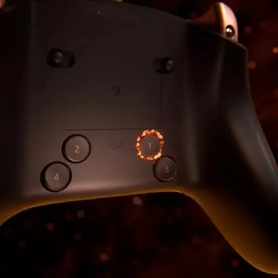 THRUSTMASTER ESWAP X 2 PRO CONTROLLER WW-7