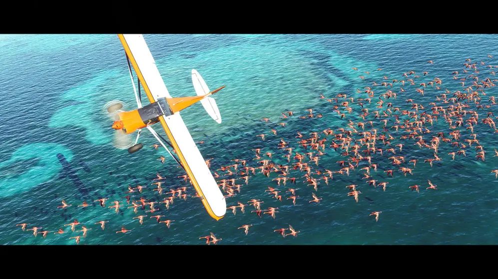 Microsoft Flight Simulator 2020 - Premium Deluxe (PC)-5