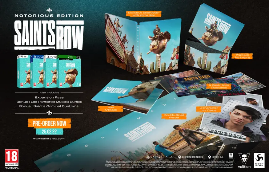 Saints Row - Notorious Edition (PC)-1