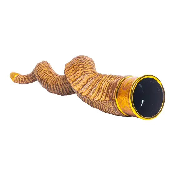 GAYA TESO THE HORN OF JA'DARRI-2