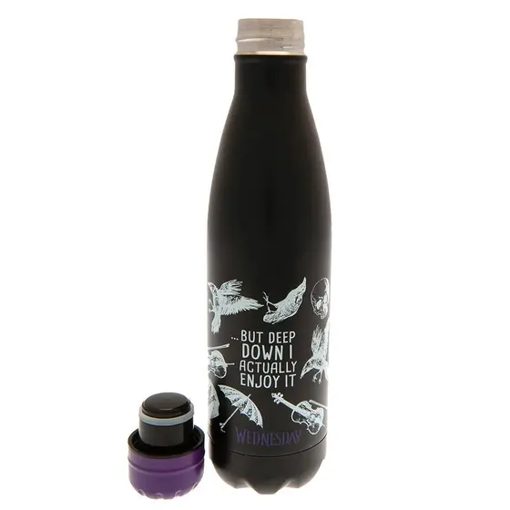 PYRAMID Wednesday dont care metal drink bottle-2