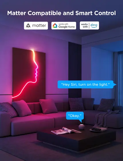 GOVEE NEON ROPE STRIP LIGTH 2 -3M-5