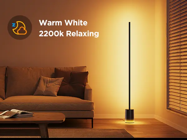 GOVEE RGBICWW FLOOR LAMP 2-13