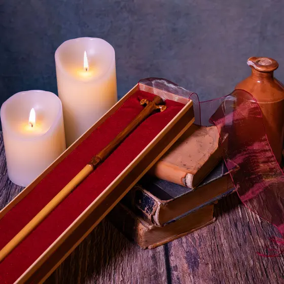NOBLE COLLECTION - HARRY POTTER-GILDEROY LOCKHART WAND IN OLLIVANDERS BOX-5