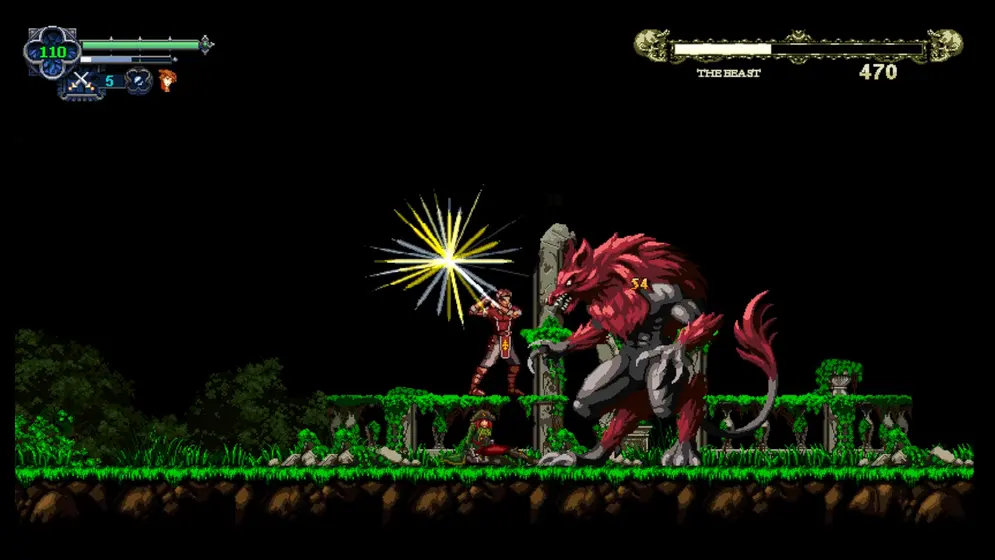 Chronicles Of The Wolf (SWITCH) (Nintendo Switch)-1