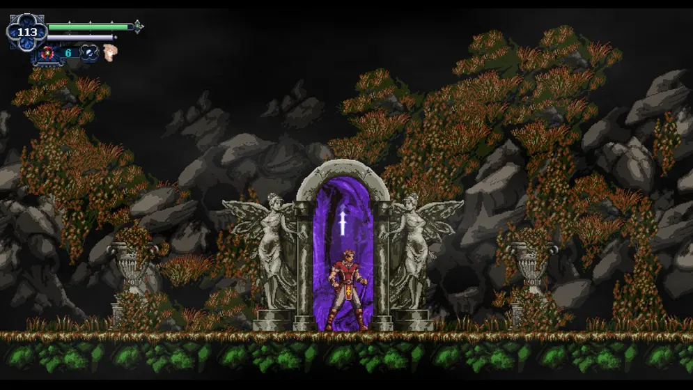 Chronicles Of The Wolf (SWITCH) (Nintendo Switch)-4