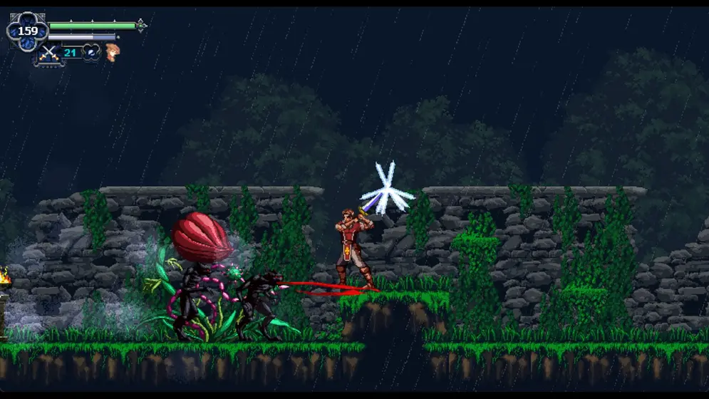 Chronicles Of The Wolf (SWITCH) (Nintendo Switch)-8