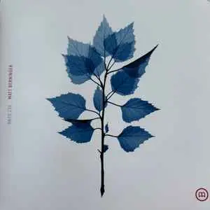 MATT BERNINGER - Get Sunk LP-0
