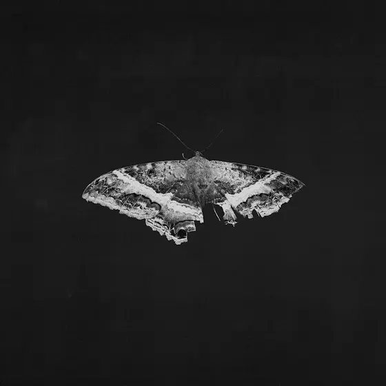 KENDRICK LAMAR - To Pimp A Butterfly (Limited 10th Annivesary Reissue) LP2-0