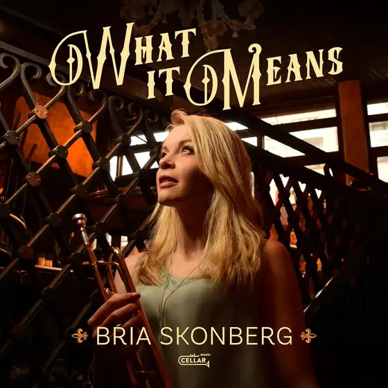 BRIA SKONBERG - What It Means CD-1