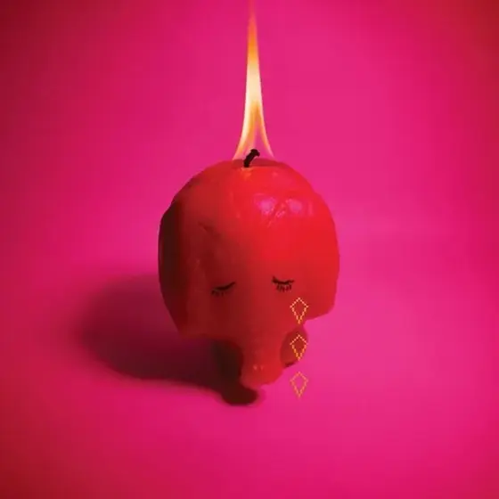 ARCADE FIRE - Pink Elephant CD-0