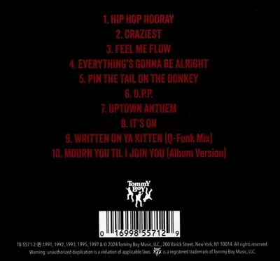 NAUGHTY BY NATURE - Greatest Hits: The Naughtiest CD-1