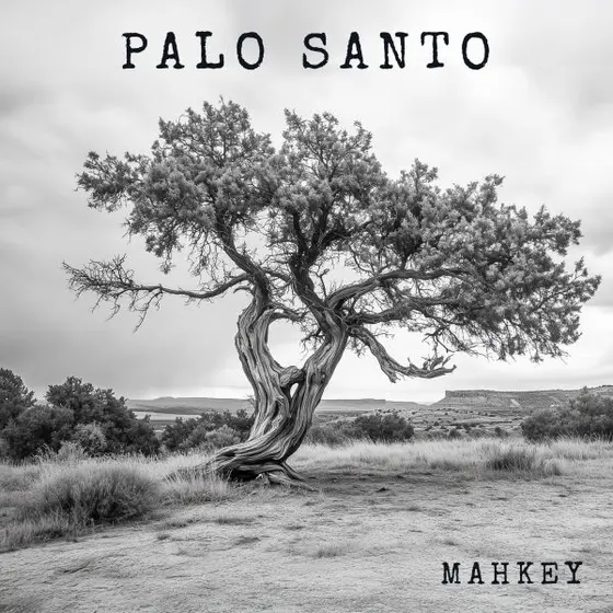 MAHKEY - Palo Santo CD-1