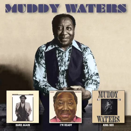 MUDDY WATERS - Muddy Waters Story CD4-0