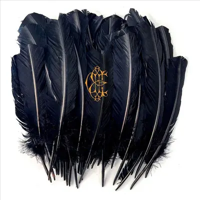 DAVID EUGENE EDWARDS - Hyacinth CD-0