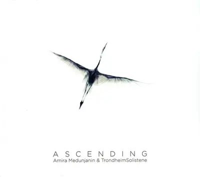 Amira (3), Trondheimsolistene - Ascending