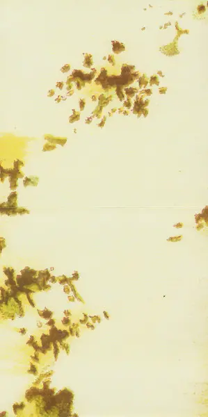 Lambchop - AWCMON / NOYOUCMON-7