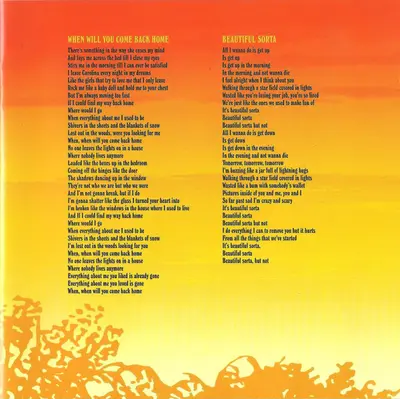 Ryan Adams & The Cardinals - Cold Roses-7