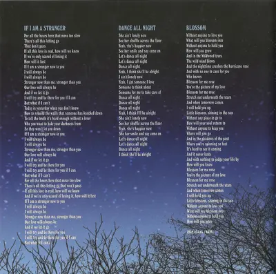 Ryan Adams & The Cardinals - Cold Roses-14