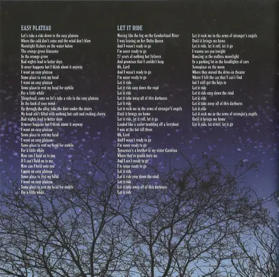 Ryan Adams & The Cardinals - Cold Roses-12