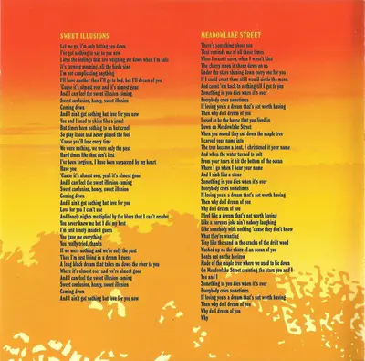 Ryan Adams & The Cardinals - Cold Roses-6