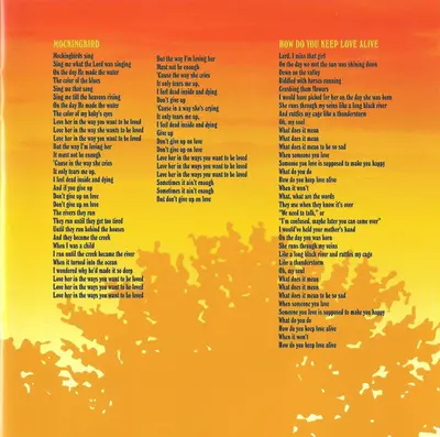 Ryan Adams & The Cardinals - Cold Roses-9
