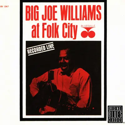 Big Joe Williams - At Folk City