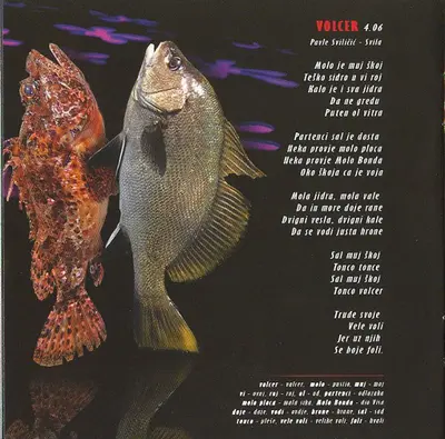 Kopito - Riba