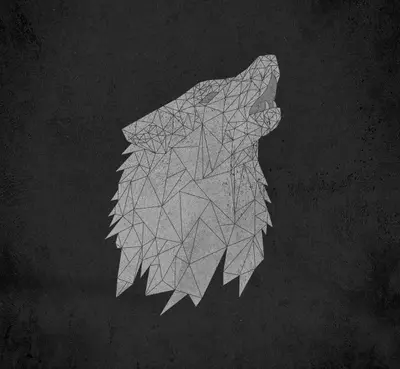Doghouse Roses - Lost Is Not Losing