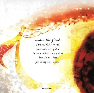Under The Flood - The Witness-7