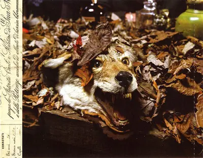 3 Doors Down - Seventeen Days-1