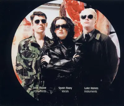 Black Box Recorder - The Facts Of Life