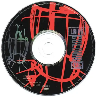 Living Colour - Stain