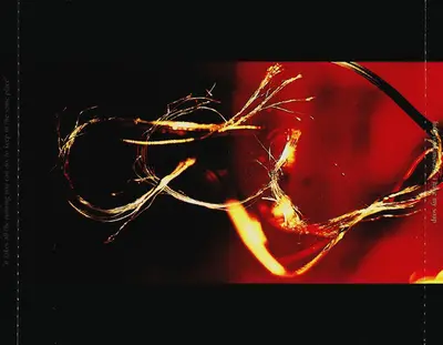 My Vitriol - Finelines / Between The Lines-15