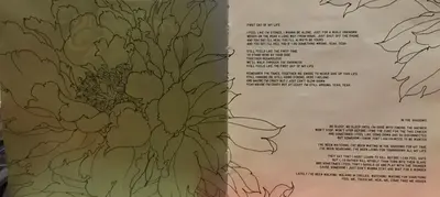 The Rasmus - Dead Letters-3