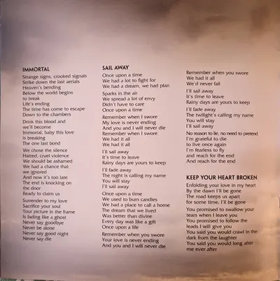 The Rasmus - Hide From The Sun-9